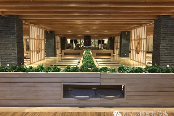 茶香氤氲无锡茶艺工作室VX，尽享茶文化的韵味时光